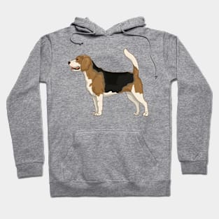 Beagle dog Hoodie